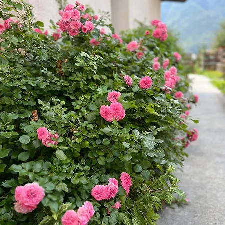 Le Dolomiti * Forni di Sotto